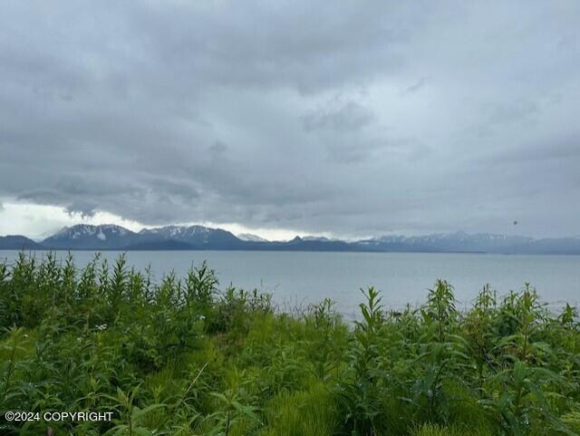 Homer, Alaska 99603, United States, ,Land,Active,54774