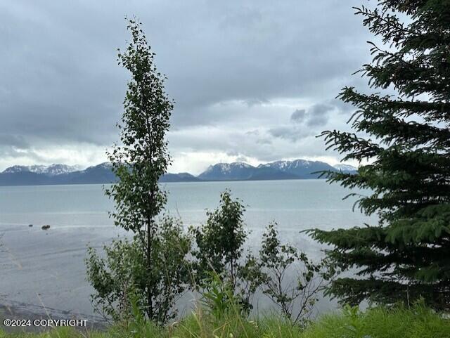 Homer, Alaska 99603, United States, ,Land,Active,54774