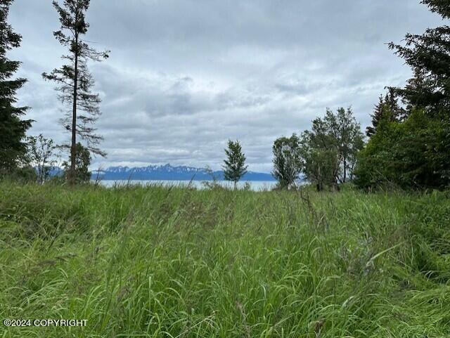 Homer, Alaska 99603, United States, ,Land,Active,54774