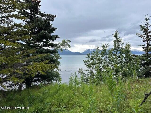 Homer, Alaska 99603, United States, ,Land,Active,54774