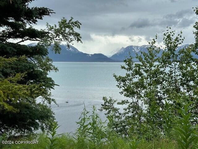 Homer, Alaska 99603, United States, ,Land,Active,54774