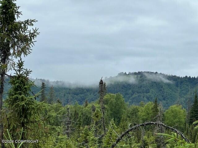 Homer, Alaska 99603, United States, ,Land,Active,54774