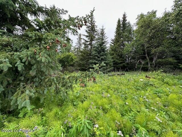 Homer, Alaska 99603, United States, ,Land,Active,54774