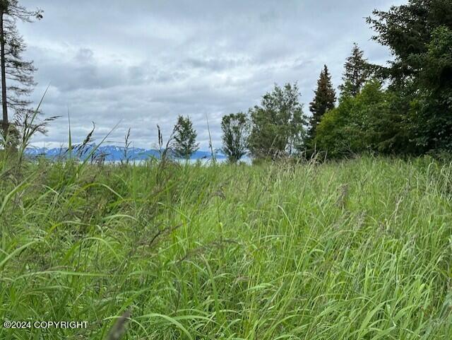 Homer, Alaska 99603, United States, ,Land,Active,54774