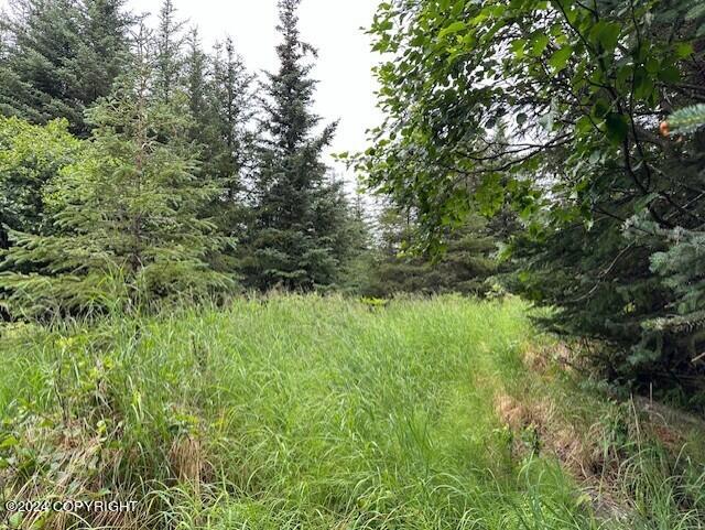 Homer, Alaska 99603, United States, ,Land,Active,54774