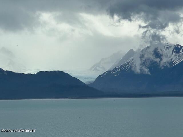 Homer, Alaska 99603, United States, ,Land,Active,54774