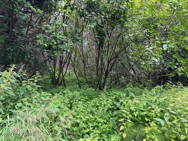 Homer, Alaska 99603, United States, ,Land,Active,54774