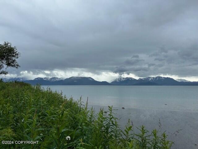 Homer, Alaska 99603, United States, ,Land,Active,54774