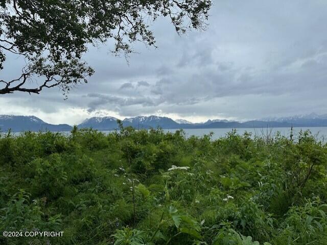 Homer, Alaska 99603, United States, ,Land,Active,54774