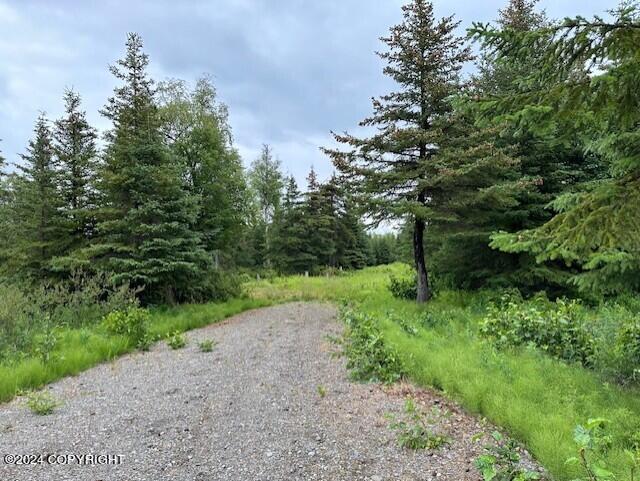 Homer, Alaska 99603, United States, ,Land,Active,54774