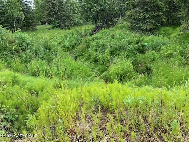 Homer, Alaska 99603, United States, ,Land,Active,54774