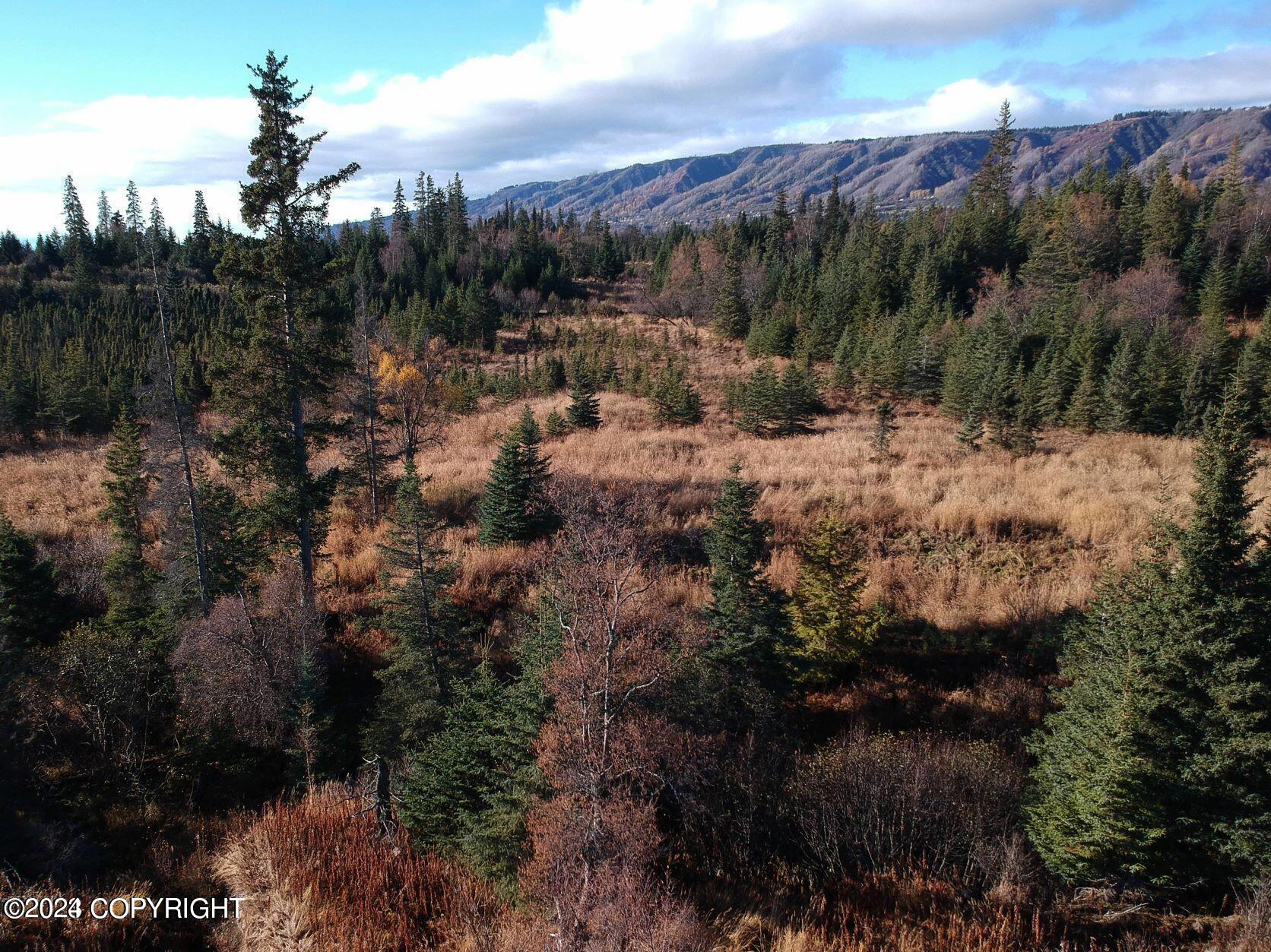 Homer, Alaska 99603, United States, ,Land,Active,54774