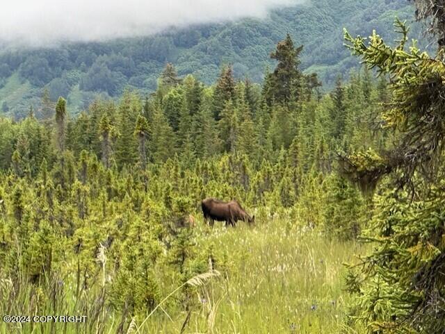 Homer, Alaska 99603, United States, ,Land,Active,54774