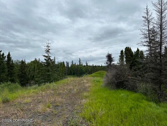 Homer, Alaska 99603, United States, ,Land,Active,54774