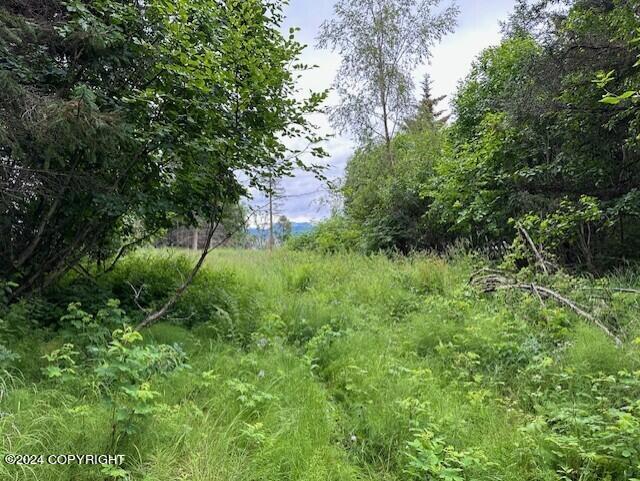 Homer, Alaska 99603, United States, ,Land,Active,54774