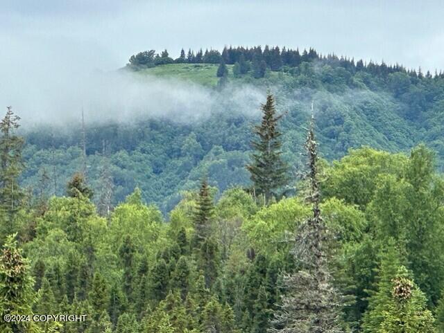 Homer, Alaska 99603, United States, ,Land,Active,54774