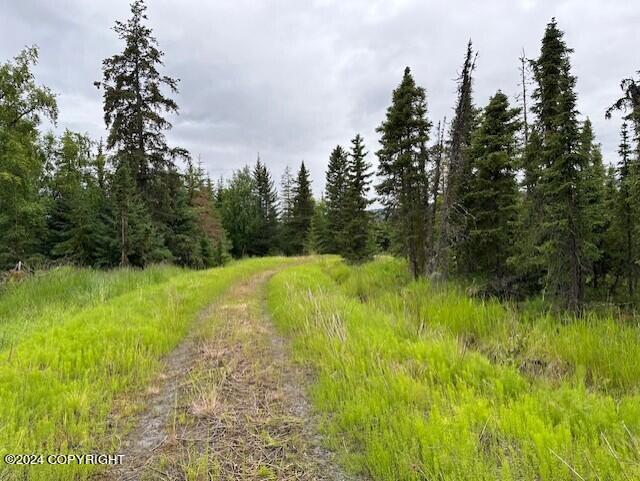 Homer, Alaska 99603, United States, ,Land,Active,54774