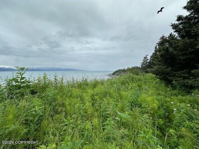 Homer, Alaska 99603, United States, ,Land,Active,54774