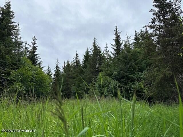 Homer, Alaska 99603, United States, ,Land,Active,54774