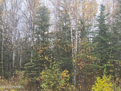 Vacant Land For Sale - L3 B1 Brenden Boulevard<br/> Copper Center, AK 99573