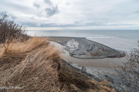 Photo of 67380 Halibut Road, Ninilchik, AK 99639 (MLS # 26-4889)