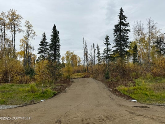 17669 E E YELDARB AVE AVE, TALKEETNA, AK 99676 - Image f385fc1ea6c9bb11a9352f281d5d9ec3/4132984897