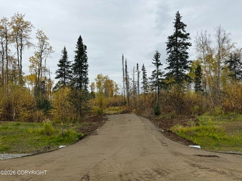 Vacant Land For Sale - 17669 E Yeldarb Avenue<br/> Talkeetna, AK 99676