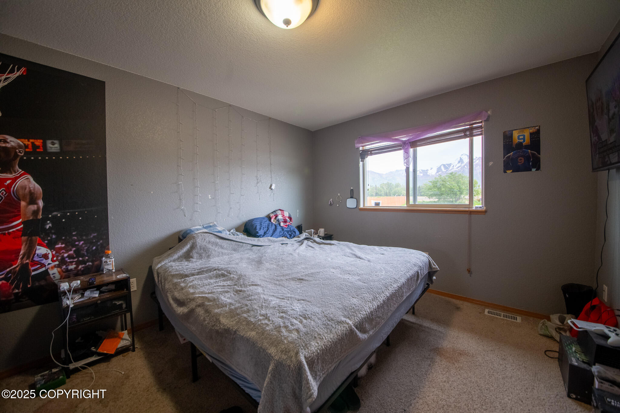 14028 E Jersey Loop, Palmer, Alaska image 23