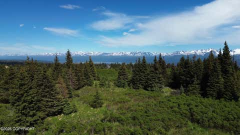 Photo of 35244 S Upland Street, Homer, AK 99603 (MLS # 26-8122)
