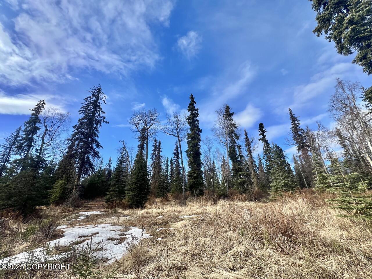 52225 Sterling Highway, Kasilof, Alaska image 28