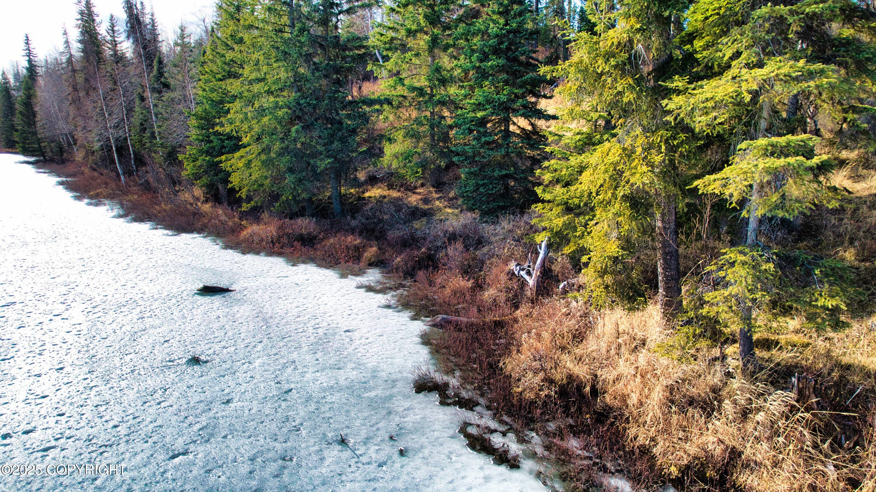 52225 Sterling Highway, Kasilof, Alaska image 21