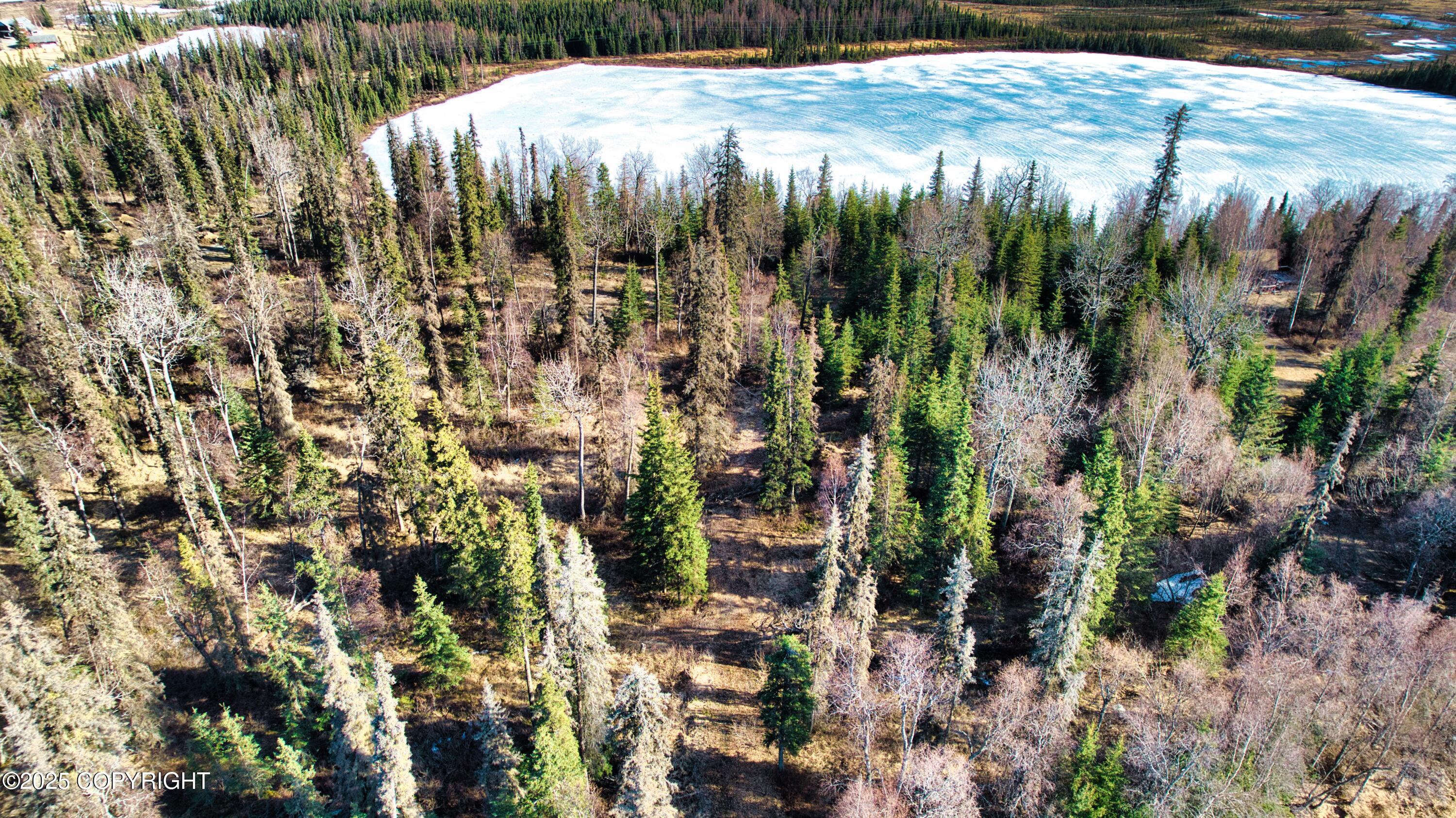 52225 Sterling Highway, Kasilof, Alaska image 13