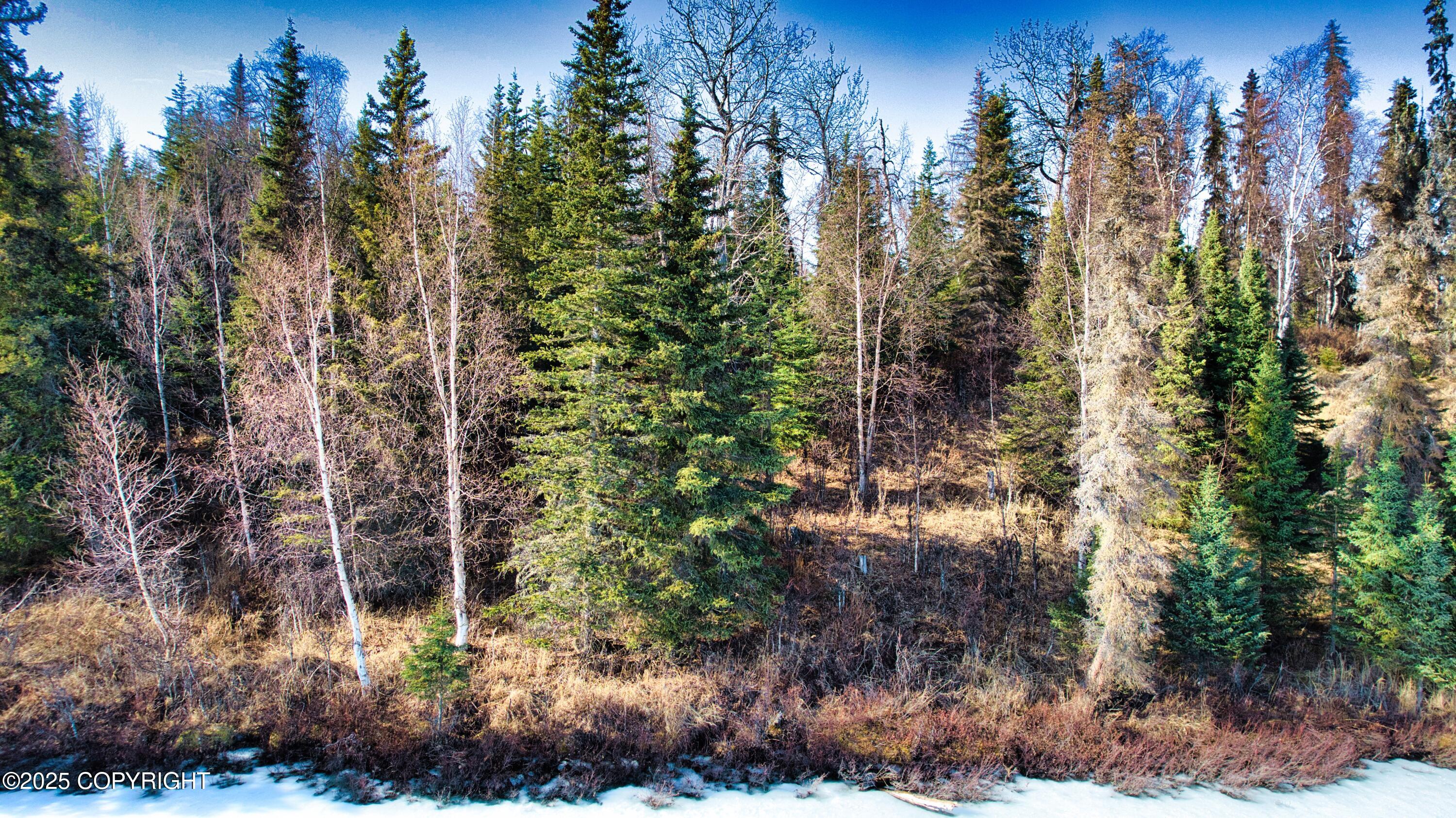 52225 Sterling Highway, Kasilof, Alaska image 6