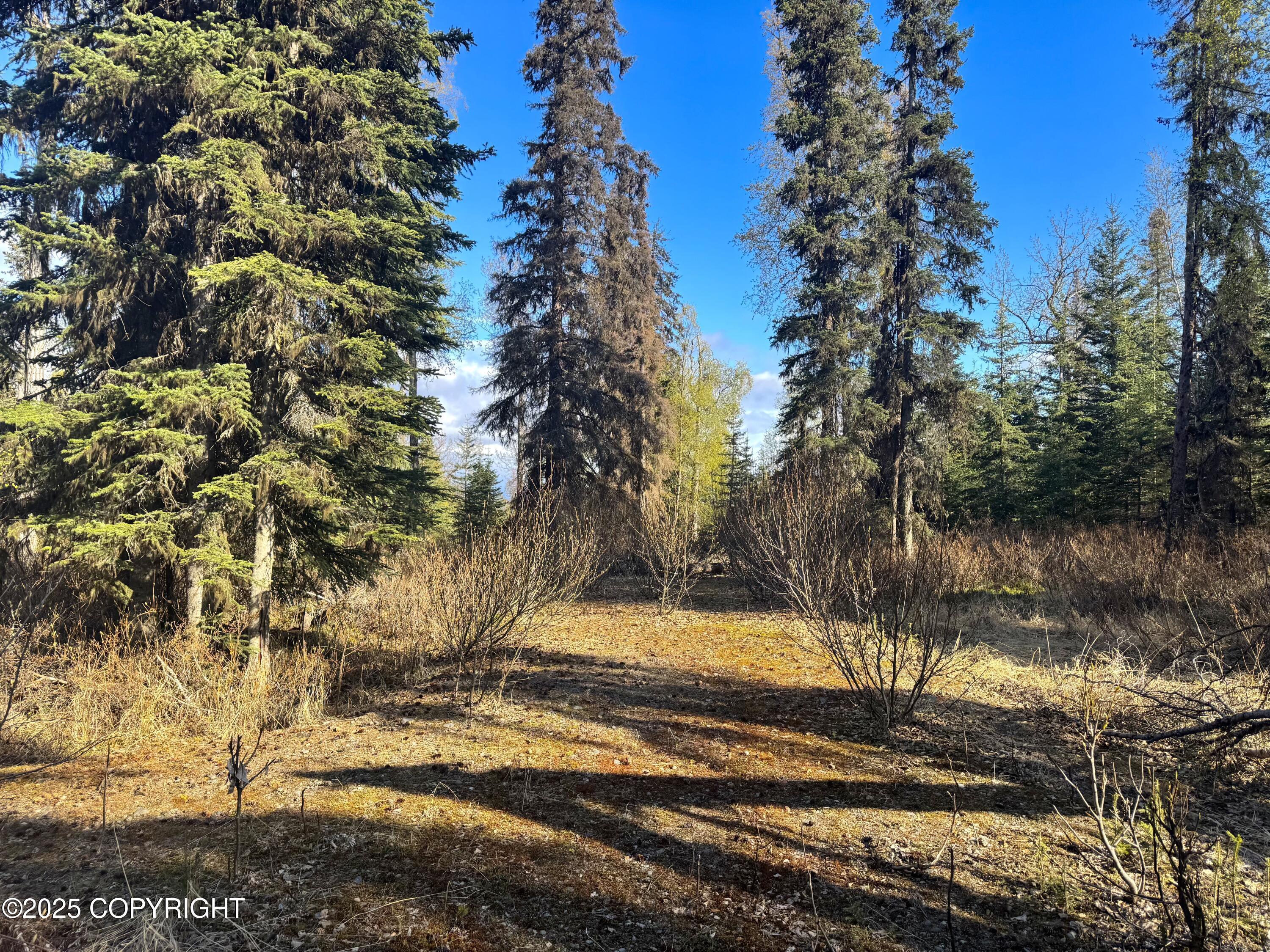 52225 W Sterling Highway, Kasilof, Alaska image 3