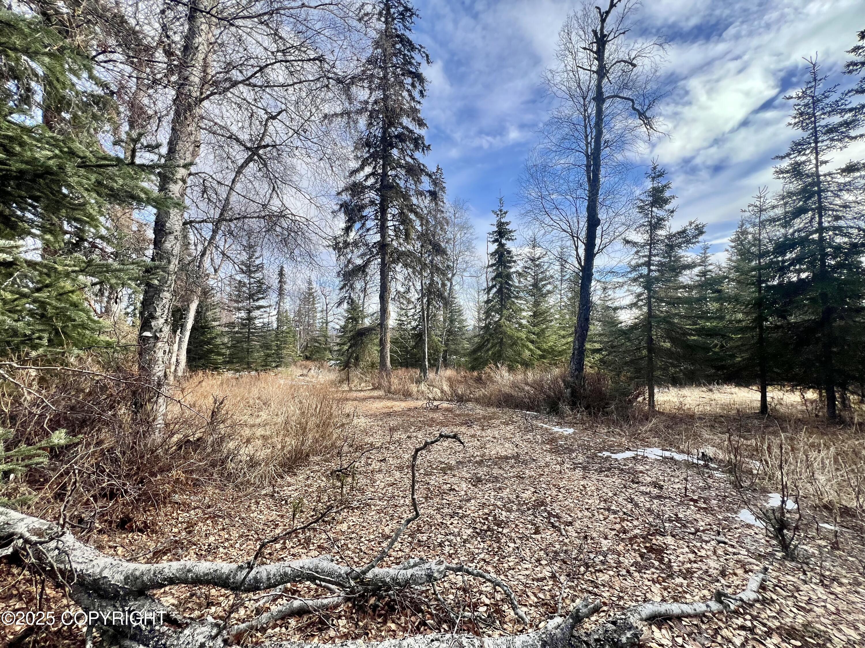 52225 Sterling Highway, Kasilof, Alaska image 10