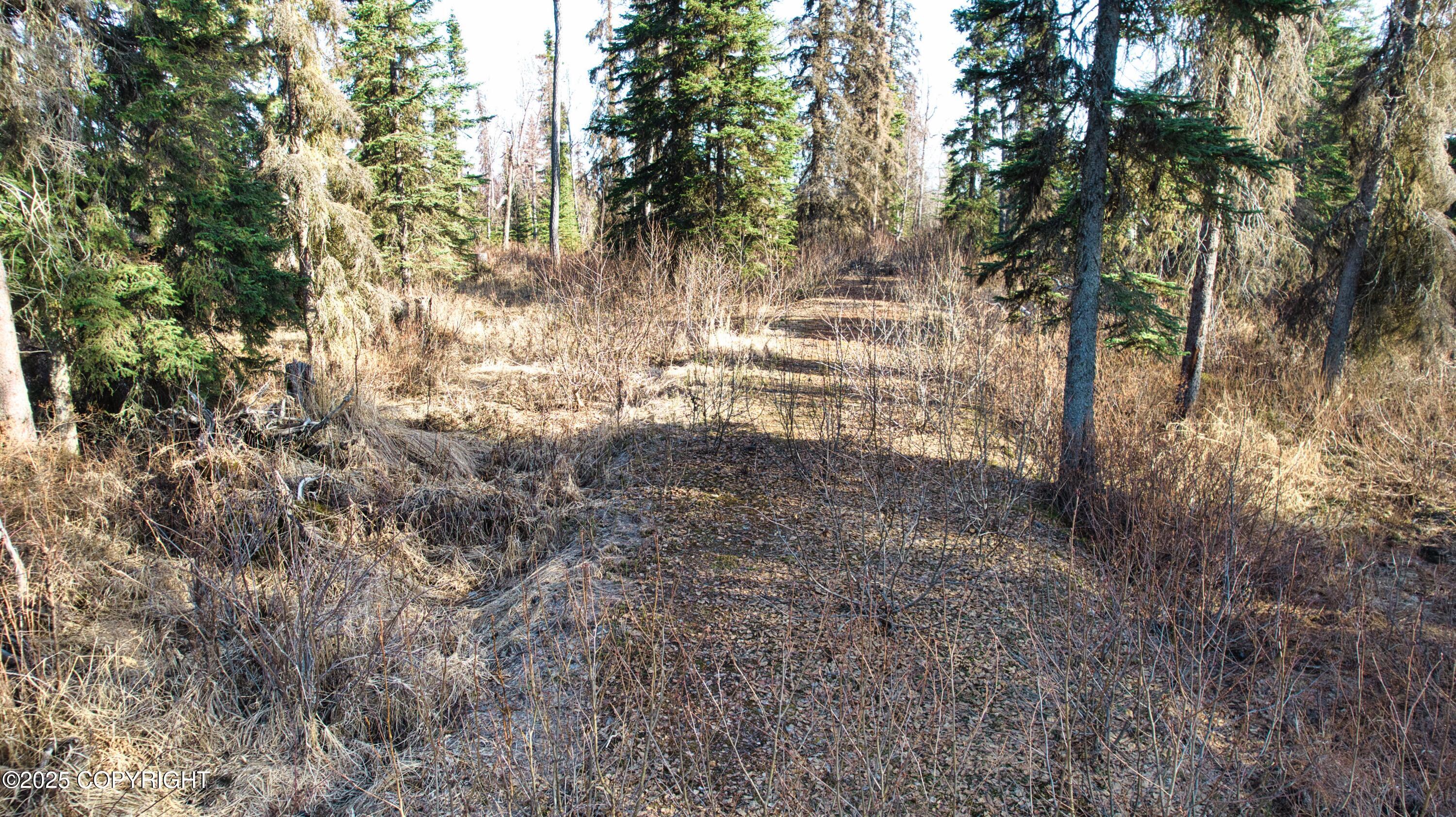 52225 Sterling Highway, Kasilof, Alaska image 8