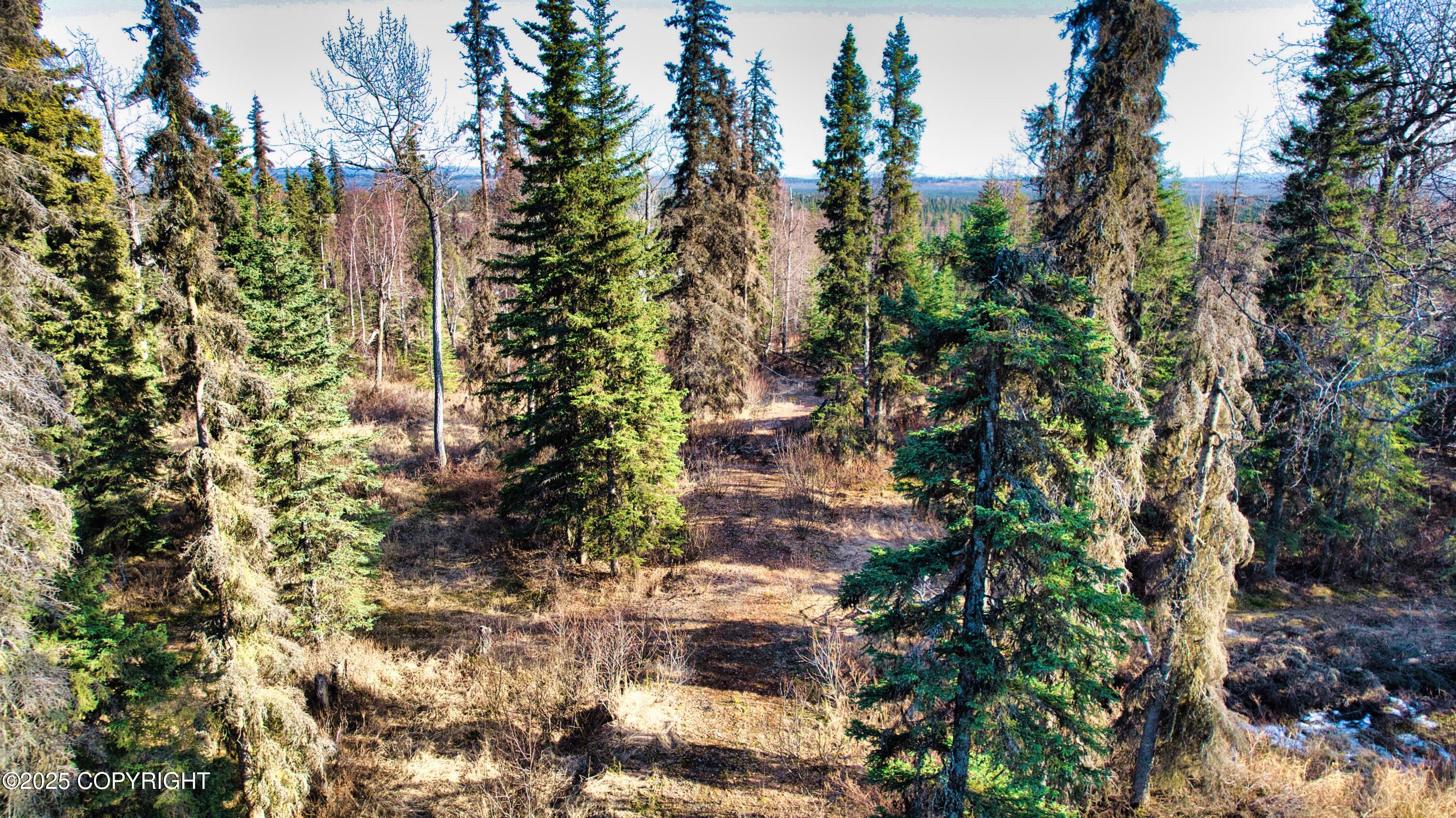 52225 Sterling Highway, Kasilof, Alaska image 7