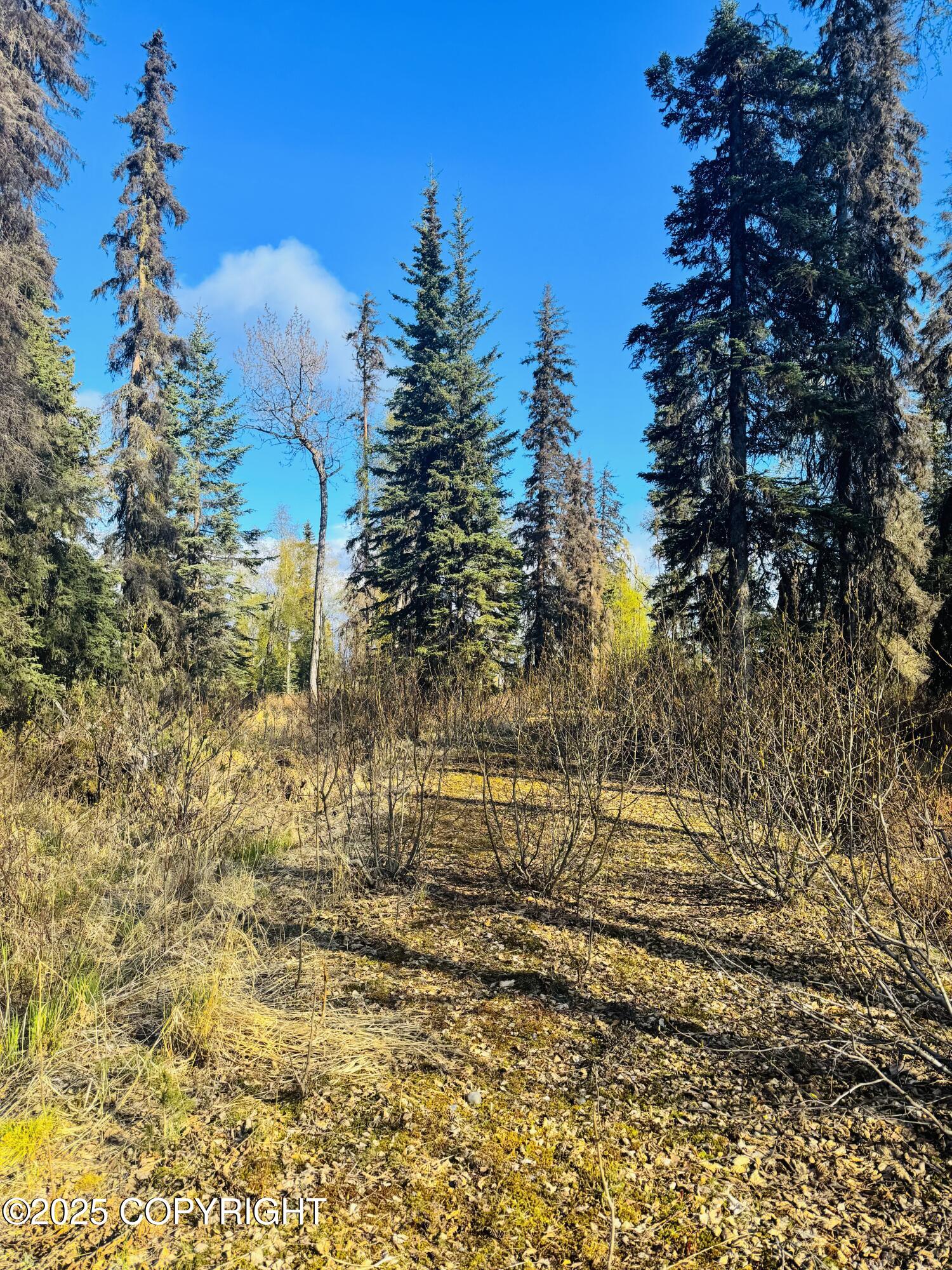 52225 W Sterling Highway, Kasilof, Alaska image 2