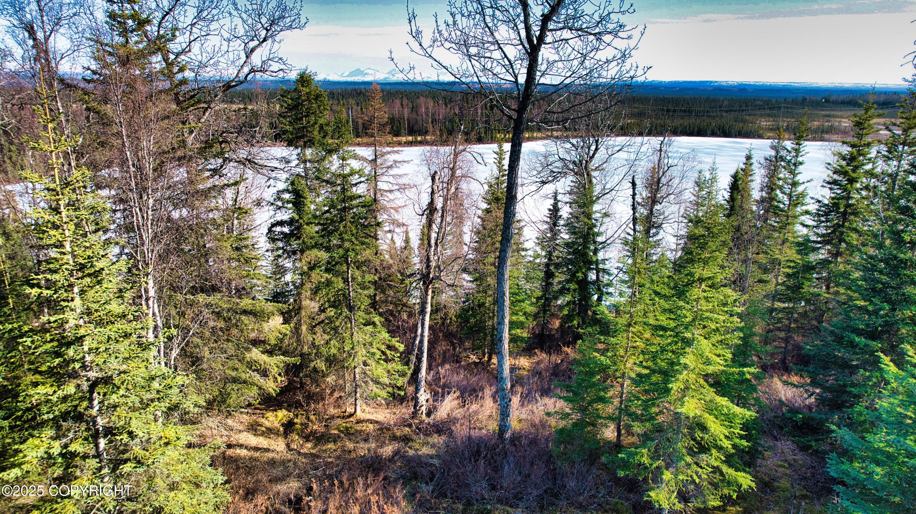 52225 Sterling Highway, Kasilof, Alaska image 3