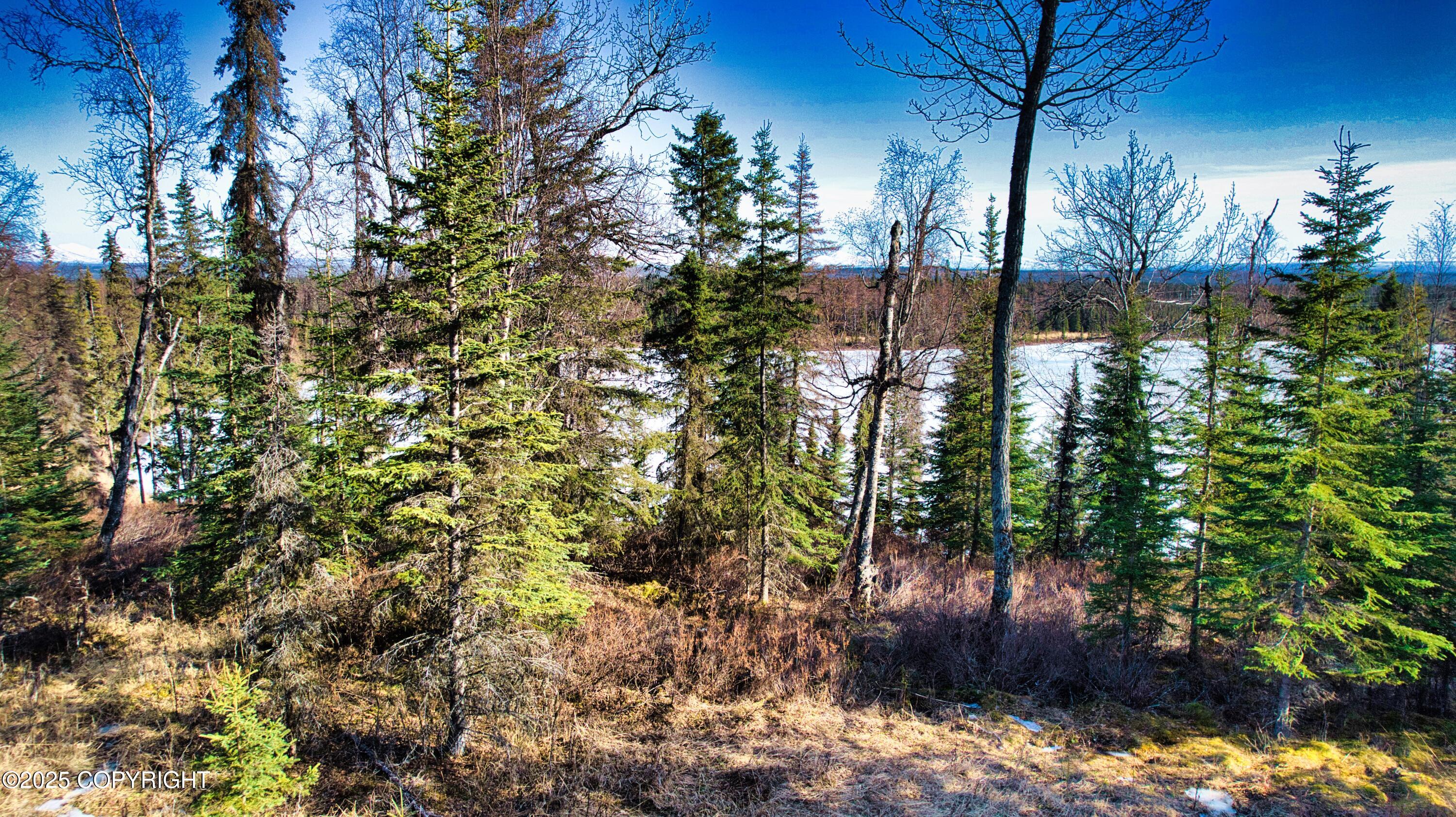 52225 Sterling Highway, Kasilof, Alaska image 17