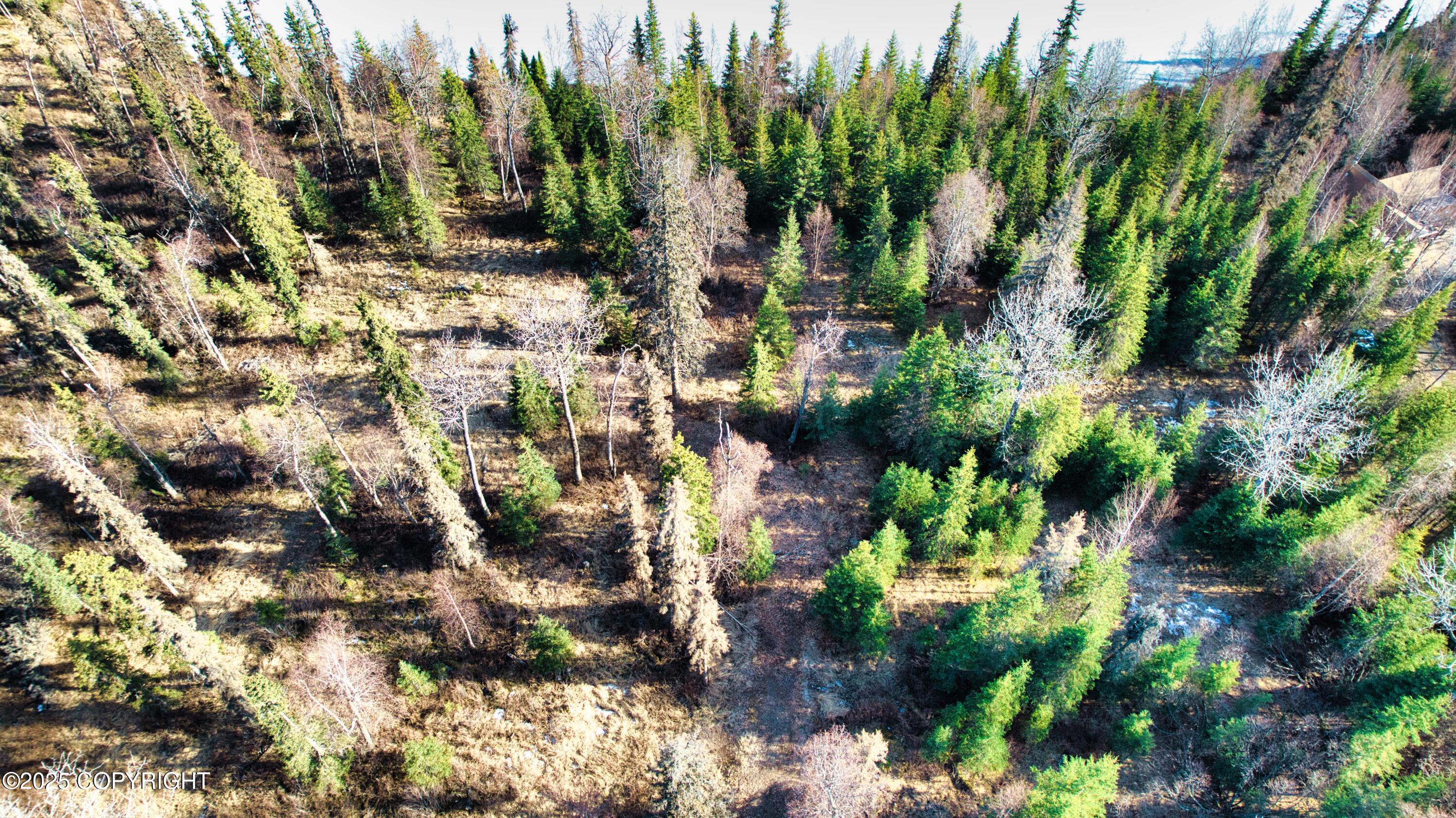 52225 Sterling Highway, Kasilof, Alaska image 9