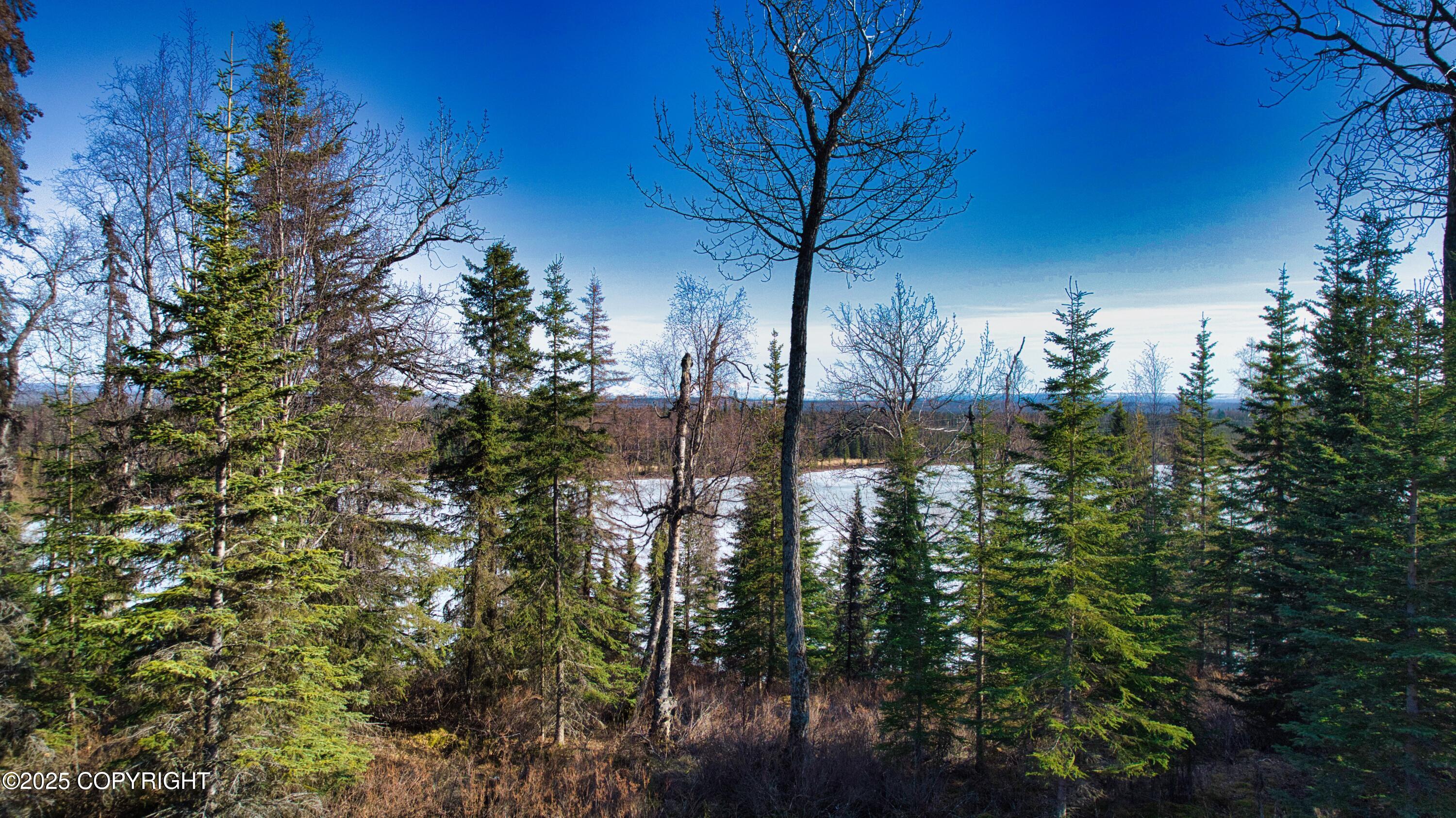 52225 Sterling Highway, Kasilof, Alaska image 16