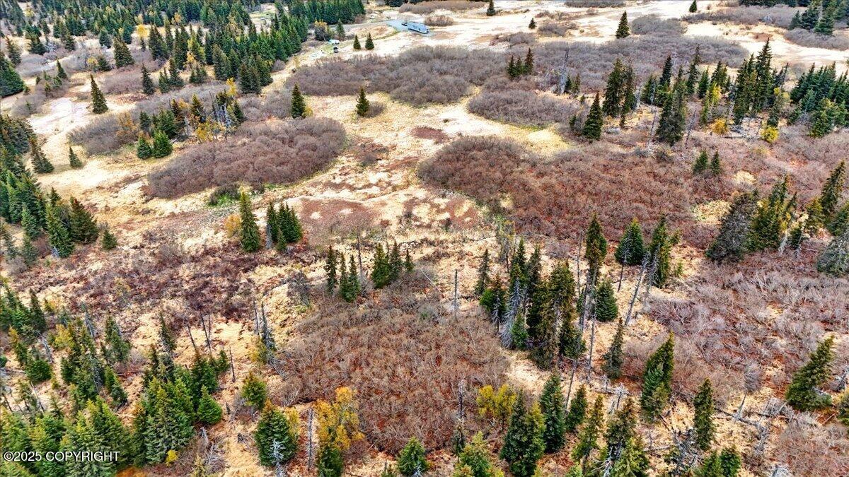 65135 Clyde Thomas Avenue, Anchor Point, Alaska image 49