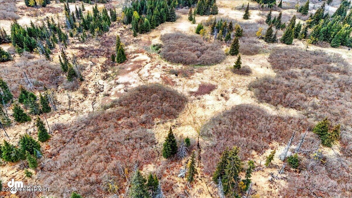 65135 Clyde Thomas Avenue, Anchor Point, Alaska image 2