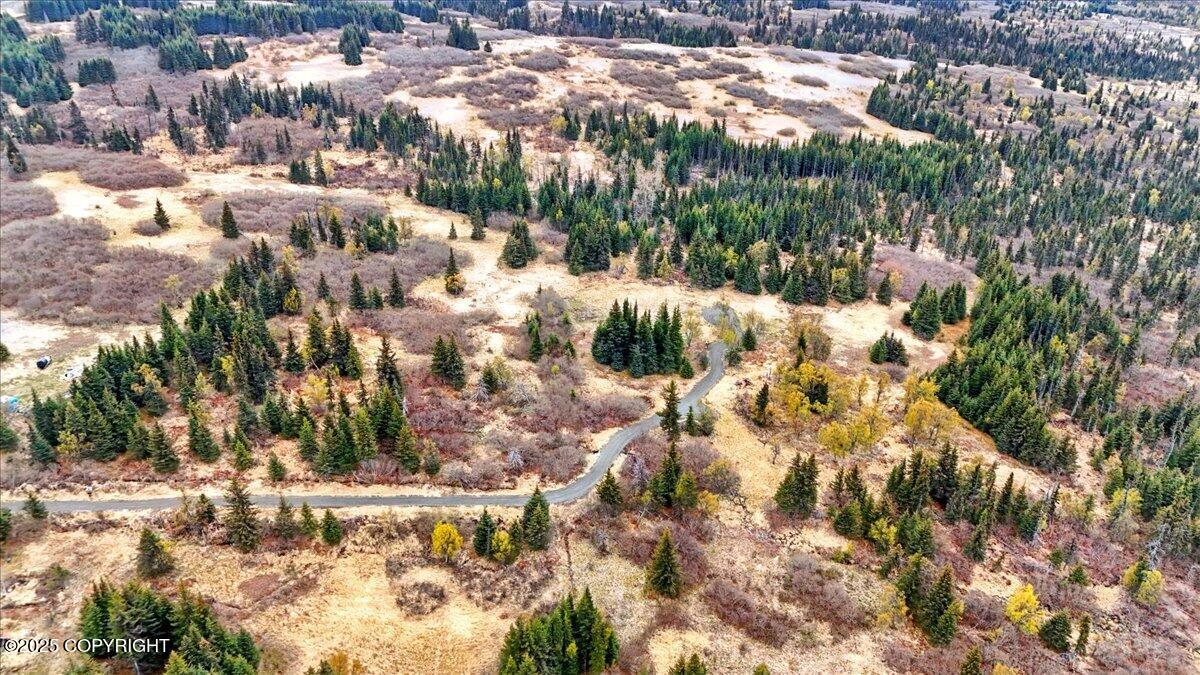 65135 Clyde Thomas Avenue, Anchor Point, Alaska image 47