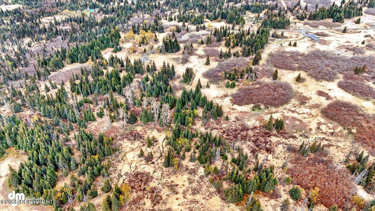 65135 Clyde Thomas Avenue, Anchor Point, Alaska image 13