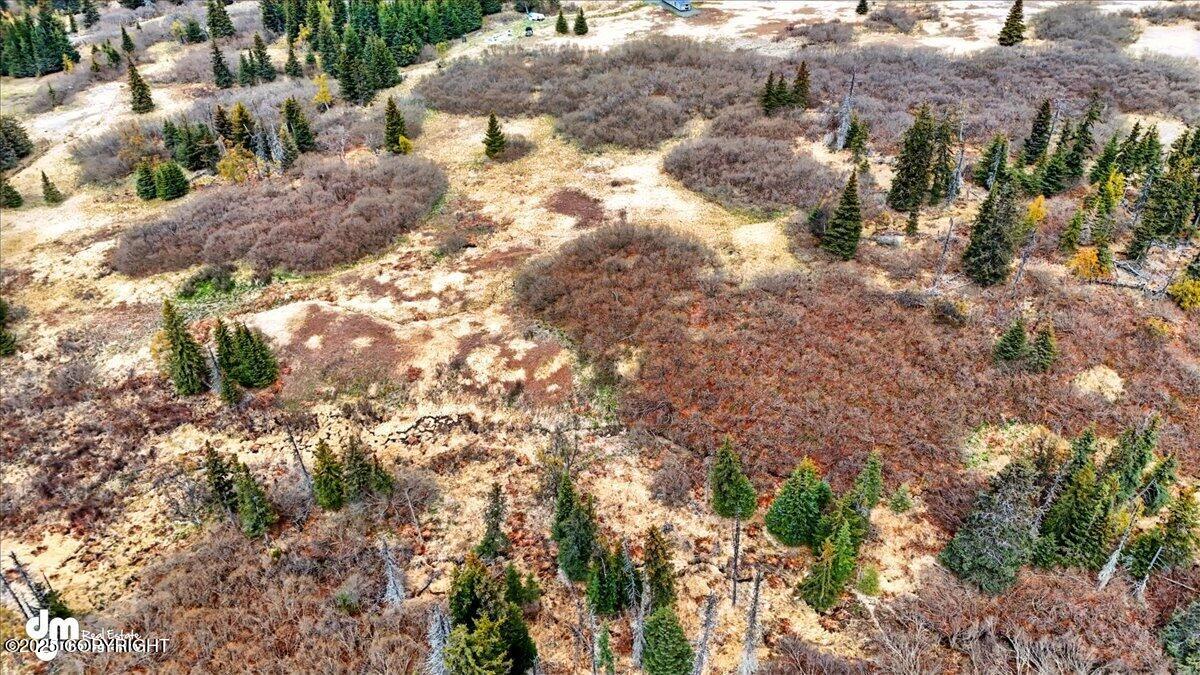 65135 Clyde Thomas Avenue, Anchor Point, Alaska image 3