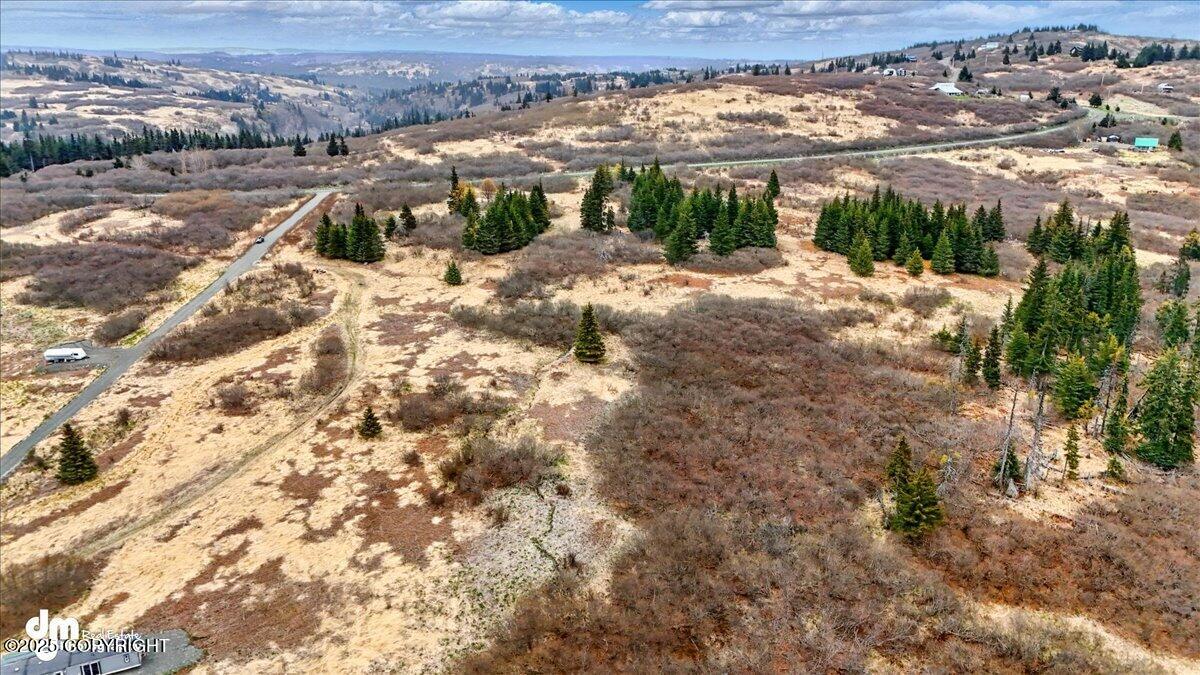 65135 Clyde Thomas Avenue, Anchor Point, Alaska image 23