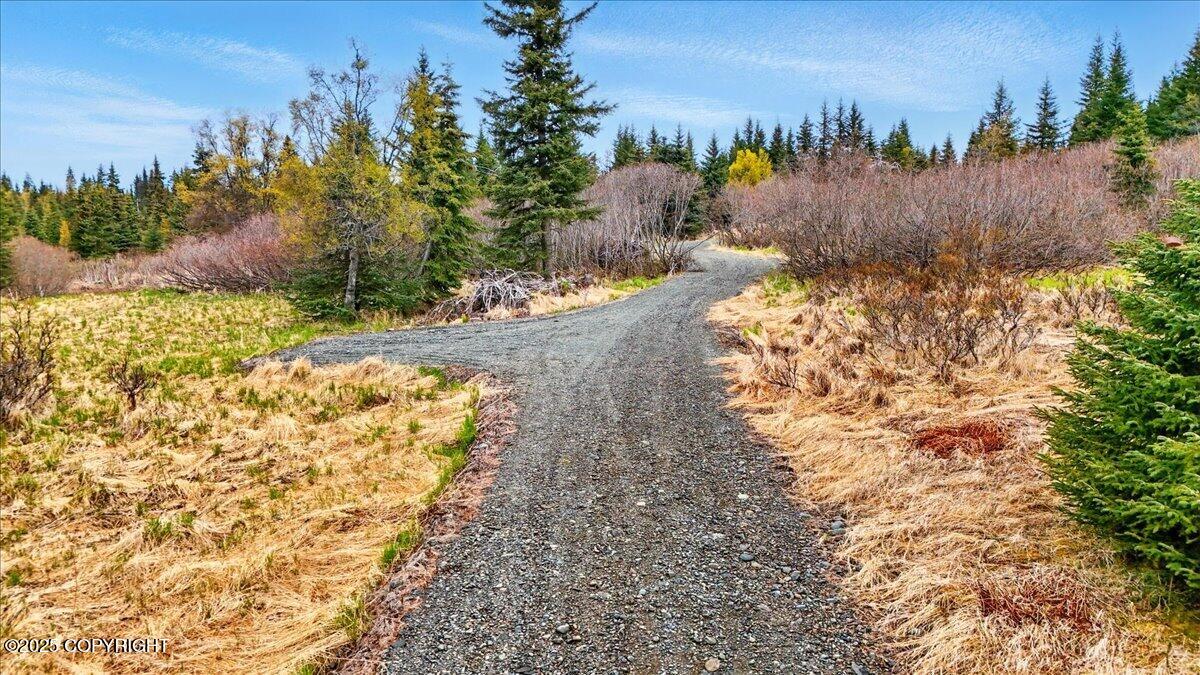 65135 Clyde Thomas Avenue, Anchor Point, Alaska image 38