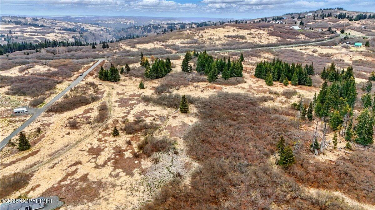 65135 Clyde Thomas Avenue, Anchor Point, Alaska image 29
